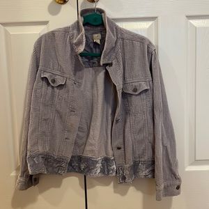 J. Jill Velvet Trim Jacket